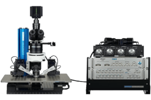 Electrophysiology-Bundle
